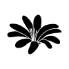 d Product Details - Image 2